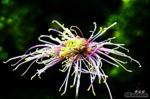 �ջ���ʳ�Ãr(ji��)ֵ(�D)