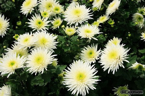 �ջ��������;��ӛ����(�D)