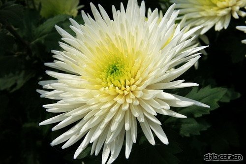 �ջ����Z(�D)