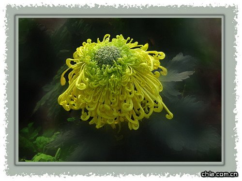 �ջ��~߅�����ν�(j��ng)�Մ(�D)