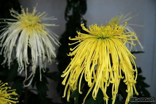 �B�ն����ʲô���_����(�D)