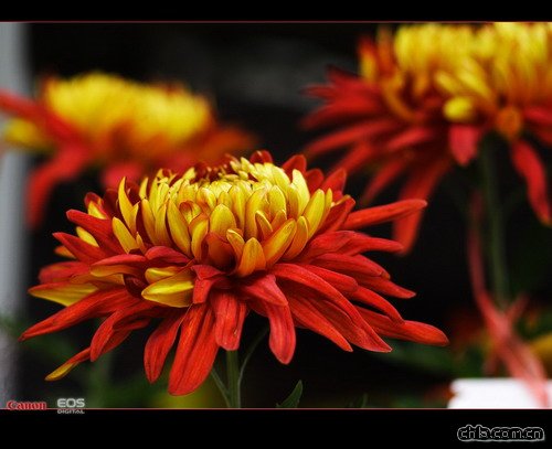 �ջ��ļ��_�����g(sh��)(�D)