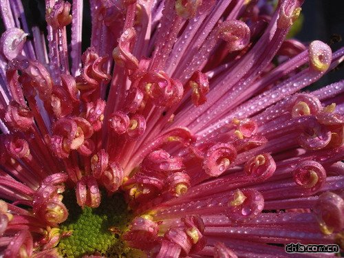 �ջ��P������(�D)