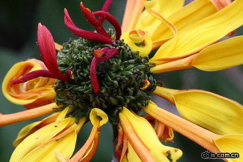 �ջ��ķ��(�M�D)