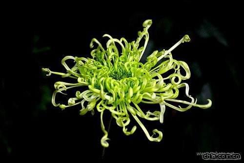 �ջ��ķ��(�M�D)