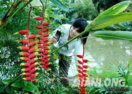 ���޴������B(ni��o)���`�Ż��ܴ��^�@(�D)