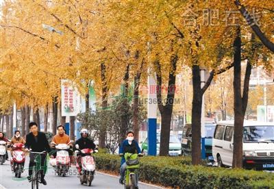 ���Gɫ�ºϷʡ���u�@�F                  ��·��ľ���ÿ����N��࣬���ܼ�