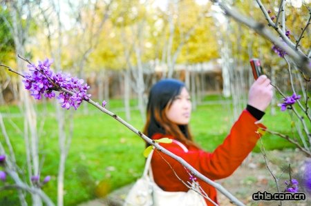 ���ݣ����G�����_��(�D)