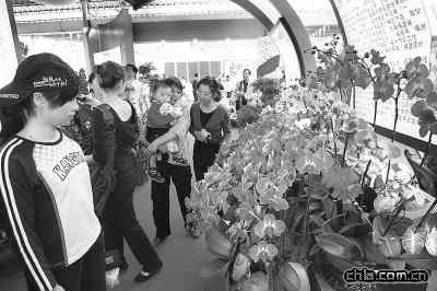 ��ʮ�ú��{�ɰ����ܲ��[��(hu��)�C��(�M�D)