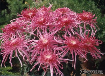 ���^�յ���������(�D)