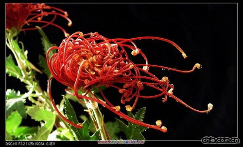 ���ӹ������Ծ�(�D)