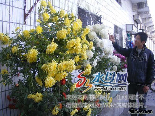 ���;ջ������L����ֹ ����˸߻��_�ٶ�