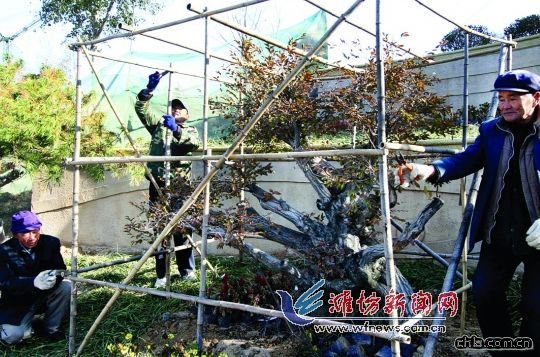 �H�����G�����ɿ͡�ס�Mů��