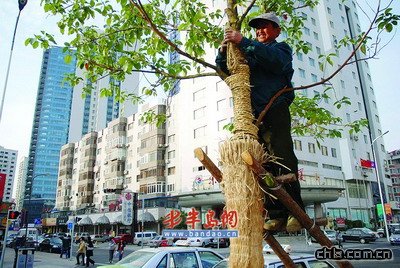 ���u�������䴩�����¡�(�D)