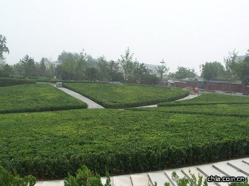 ��(gu��)�Ҵ�Ժ�h(hu��n)���G������