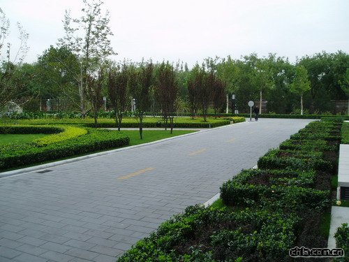 ��������y��ͥԺ����