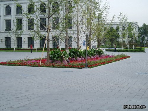 ��������y��ͥԺ����