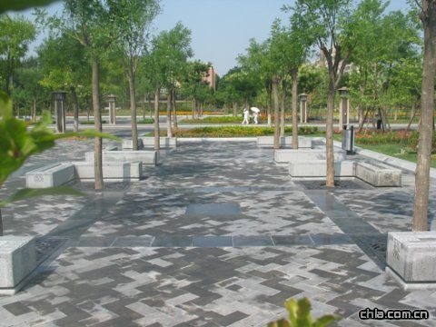 ���������S·���ξG�����칤��