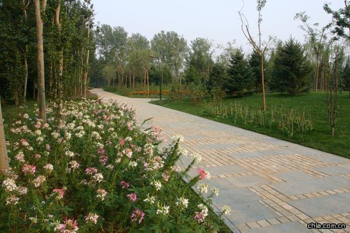 ������Ȫ���@һ��(bi��o)�ξG������