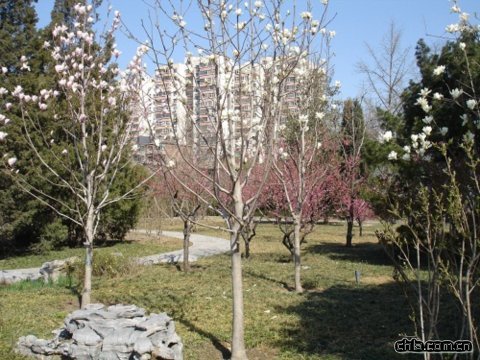 ���������@�ؽ�����