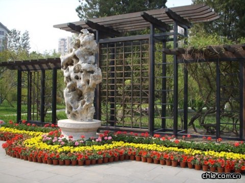 ���������@�ؽ�����