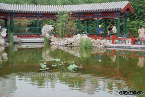 ���������@�ؽ�����