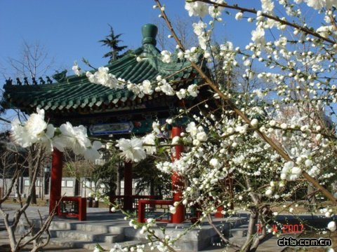 ���������@�ؽ�����