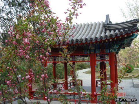 ���������@�ؽ�����