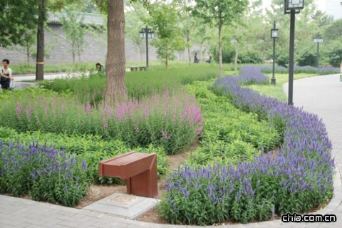 ���������@�ؽ�����