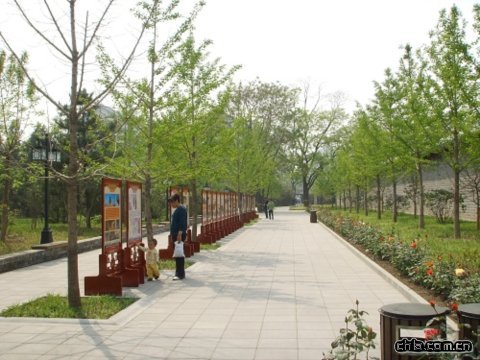 ���������@�ؽ�����