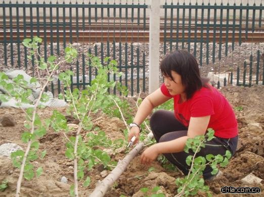 ��������վ�|�^��G�ع���һ��