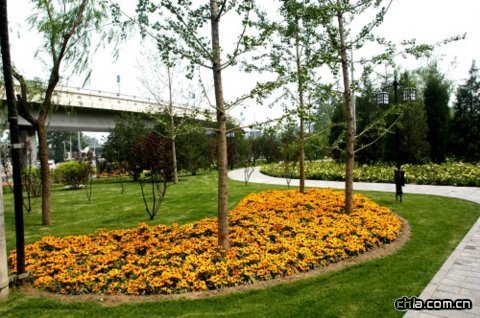 �������ǉ��zַ���@�|�ǶξG������