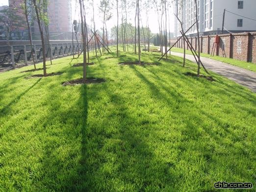 ��������վ�|�^(q��)��G�ع���һ��