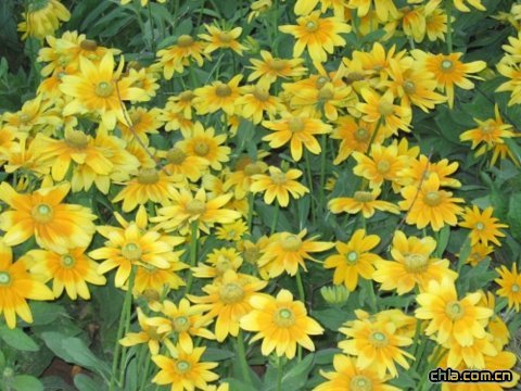 ���������ˮ�����Ⱦ��^���̣��ᭇ���@�ι���