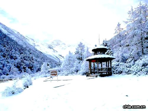 �����S����ѩɽ���� ѩ���q�q���(�D)