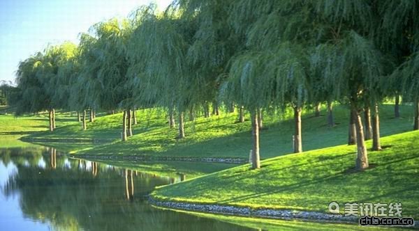 Meridian商業區總體規劃(組圖)