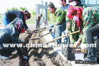 ���f�������������������½��젖������