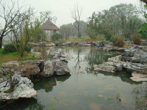 �Ͼ��ߘ�Y���@