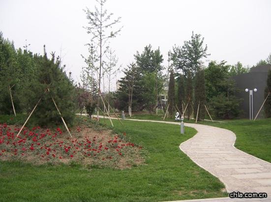 ���޽���Փ��������ַ���O�ȭh���G�����칤��