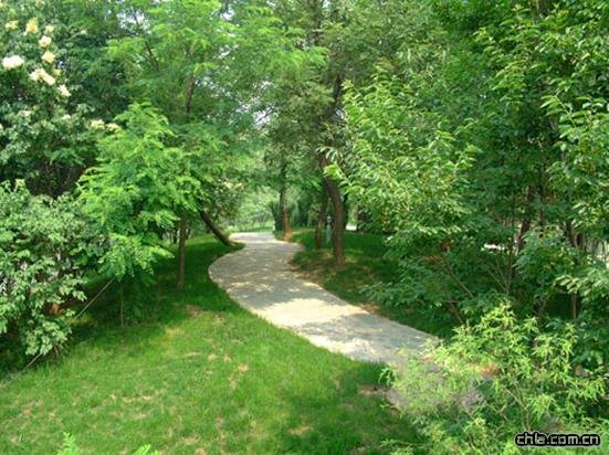 ���޽���Փ��������ַ���O�ȭh���G�����칤��