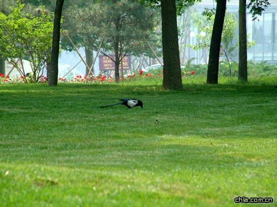 ���޽���Փ��������ַ���O�ȭh���G�����칤��