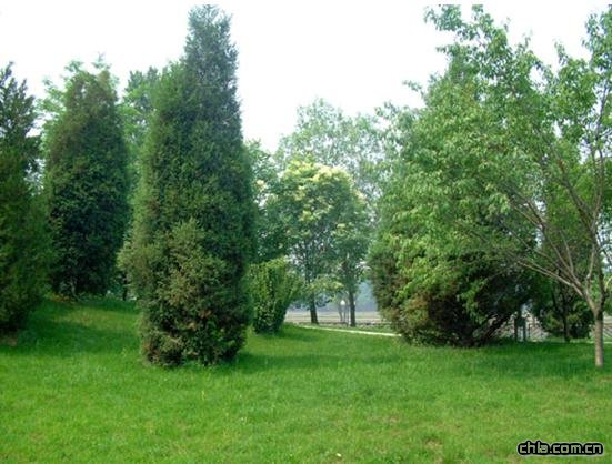 ���޽���Փ��������ַ���O�ȭh���G�����칤��