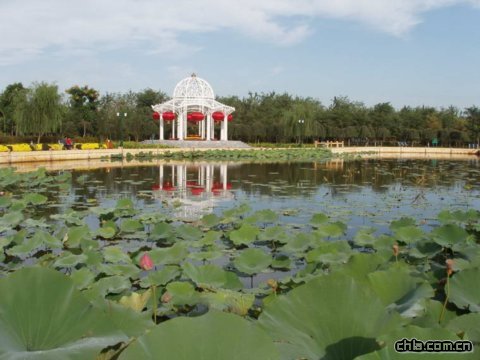 ���׺�ɭ�ֹ��@�����C�V��(ch��ng)����