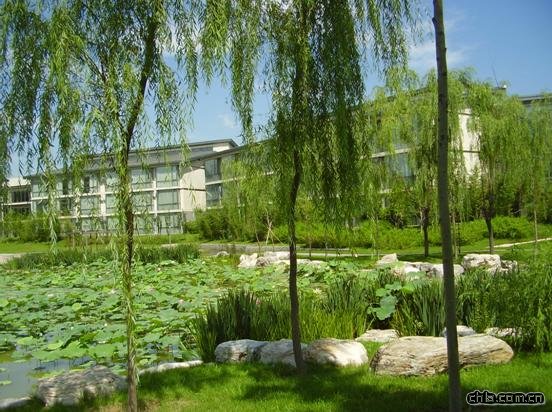 ���޽���Փ��������ַ���O�ȭh���G�����칤��