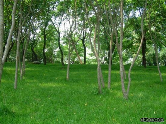 ���޽���Փ��������ַ���O�ȭh���G�����칤��