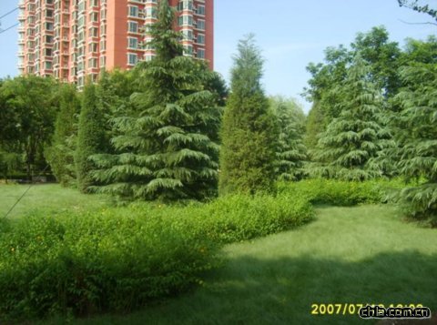 �������컨�@�G������