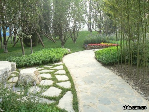 �����f���мZ.�����L(f��ng)��ʾ���^(q��)�@�־G����Ӳ������