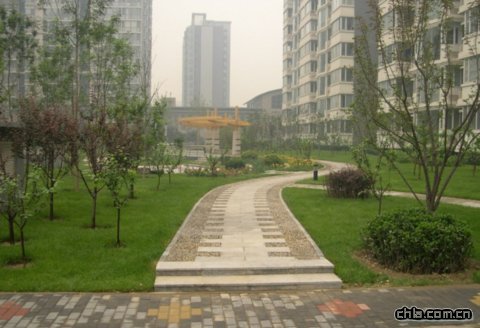 �껨ʯ�Ƕ�@·��b