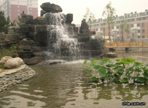 ���ھ����@סլС�^�h���G������