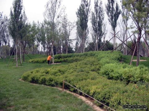 ��ꖹ��@�W�\ɳ��������G�����^����